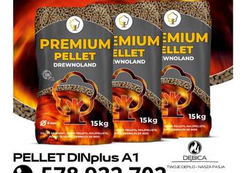 Pellet Premium DINPLUS A1 iglasty-sosnowy 6mm Frysztak
