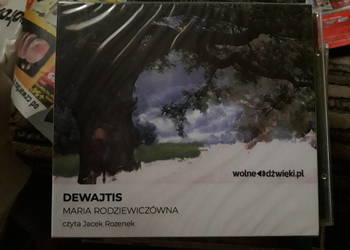 Dewajtis Maria Rodziewiczówna  czyta  Jacek Rozenek