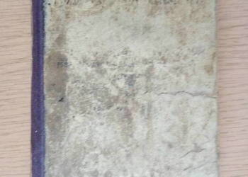 Przewodnik w rozmowach nowoczesnych w języku Polskim i niem.