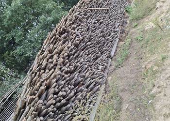 Drewno opałowe, paliki dł.120cm