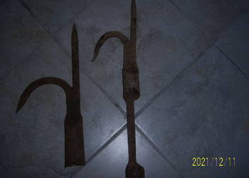 Bosak bosaki kolekcjonerskie kute