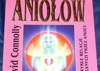 W poszukiwaniu aniołów - David Connolly