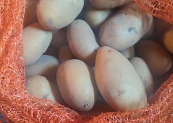 Sprzedam ziemniaki prosto z gospodarstwa Quinn Anna za 1.80 i  odmiana sati