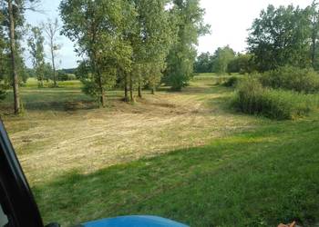 Mulczerowanie, frezowanie drzew, zakrzaczeń, pni, samosiejek