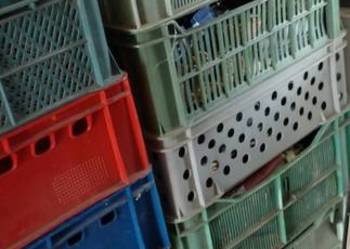 Kosze plastikowe skrzynka .10 sztuk za 150 zł