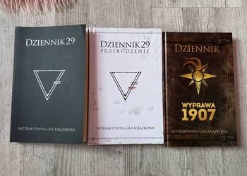 Książki dziennik 29
