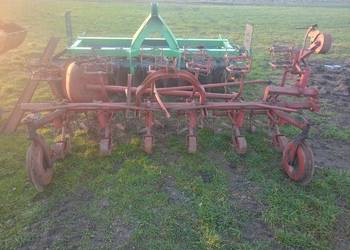 Pielnik do buraków warzyw