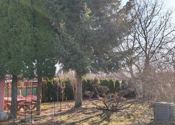 Sprzedam działkę w ROD "RELAKS".