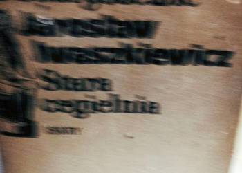 Iwaszkiewicza Stara cegielnia outlet szkolny książki
