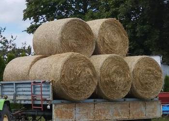 Słoma z stodoły 120x120