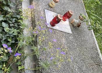 Odstąpię  miejsce pochówku-Cmentarz Rakowicki