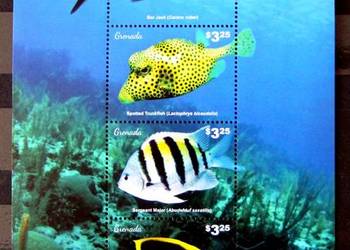 Grenada -ryby Karaibów
