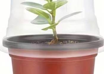 Doniczki z kopółą 40 sztuk Nowe do sadzonek rozsady Nowe