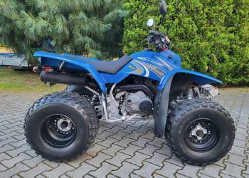Kawasaki kef 300 zarejstrowany kat B ltz trx raptor
