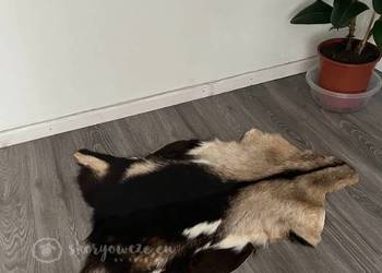 Unikatowa naturalna skóra kozia - multicolor, dywanik