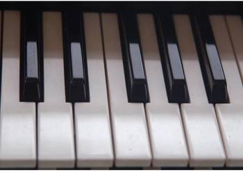 klawisz klawisze Key Korg 01/W i2 i3 i30 M1 Oasys T2 T3