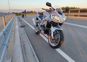 Suzuki sv 1000