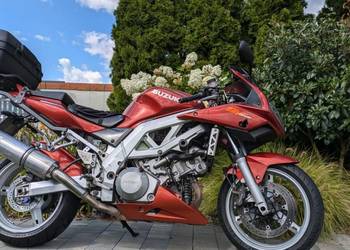 Suzuki SV 1000 S