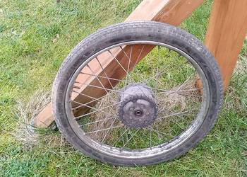 komar romet koło 19stka szczeki