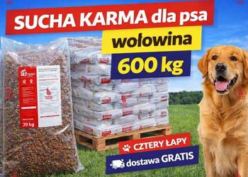 SUCHA KARMA dla psa wołowina 600 kg CZTERY ŁAPY dostawa GRATIS paleta
