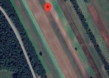 Działka, ROLNO-LEŚNA, 1,1h, Dojazd Asfalt, Przy Gł. Trasie: RADOM-OSTROWIEC