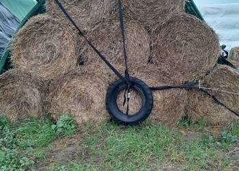 Sloma jeczmienna oraz pszenzytnia