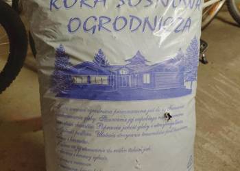 Kora ogrodowa  średnia