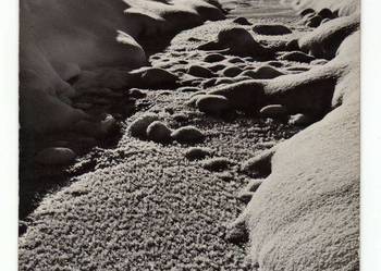 KARPATY POCZTÓWKA CZARNO BIAŁA