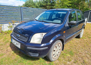 Ford Fusion 1.4 TDCi Ambiente 2004