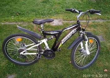 ROWER GÓRSKI 24'' FORESTER RAPTOR