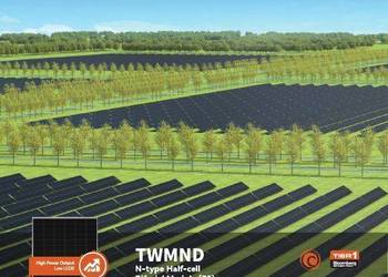 Moduł fotowoltaiczny TW Solar 625W, Half-Cut, N type, 30mm, Bifacial, srebr