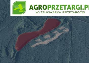 Dzierżawa 6,28 ha jeziora