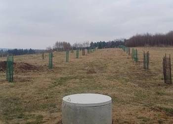 Radiestezja. Szukanie wody pod studnie głębinowe i tradycyjne