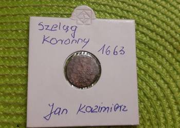 moneta szeląg Jana Kazimierza z 1663r