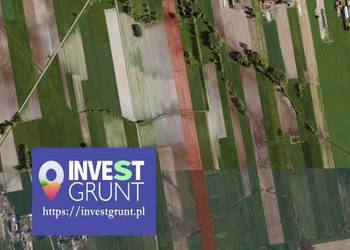 [9,05 ha] przetarg na dzierżawę gruntów rolnych