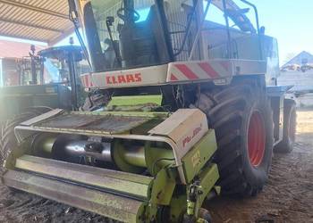 Sieczkarnia Claas Jaguar 890 Speedstar