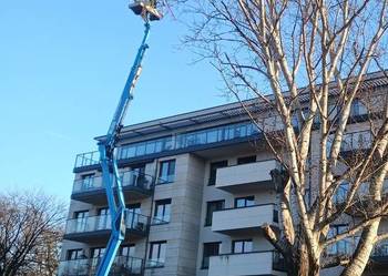 Kompleksowe ogrodnictwo, pielęgnacja i wycinka drzew