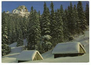 TATRY SZAŁASY NA POLANIE STRĄŻYSKIEJ TATRY SZAŁASY NA POLANIE STRĄŻYSKIEJ