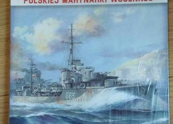 Okręty Polskiej Marynarki Wojennej, ORP Piorun, tom1,książka