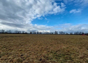 Cholerzyn - działki budowlane 16,6 ara, 3Mn2,