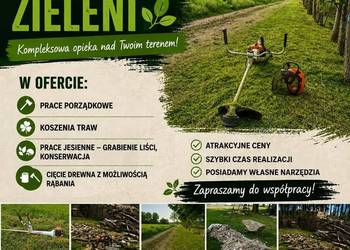 Usługi pielęgnacji zieleni koszenia traw prace porządkowe
