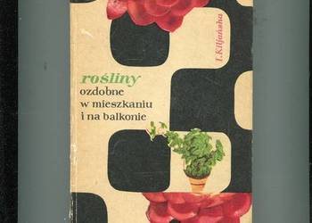 Rośliny ozdobne w mieszkaniu i na balkonie - Kiljańska