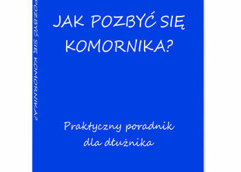 Jak pozbyć się komornika? Poradnik dla dłużnika