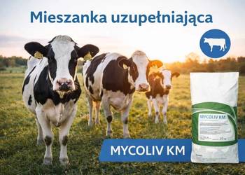 MYCOLIV KM 300 kg Mieszanka paszowa uzupełniająca dla bydła | krowy bydło