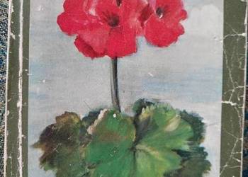 Pelargonie Książki Warszawa księgarnia Praga antykwariat