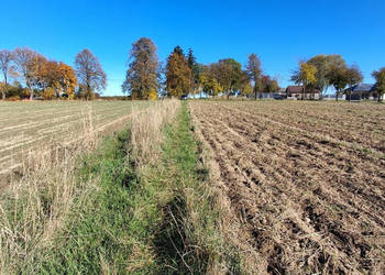 Sprzedam działka Żabia Wola 1003m2