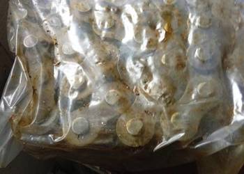 Łańcuch obrotu Cyklop