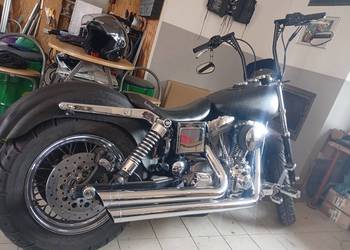 Harley