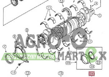 J934486, A77809, 153648759, J970548, J9353978 ZESTAW SERWISOWY TYŁ CNH