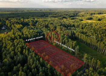 Działka 900m2 Czarna Sędziszowska